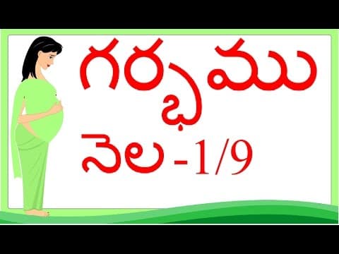 Pregnancy - month 1 - గర్భం నెల 1