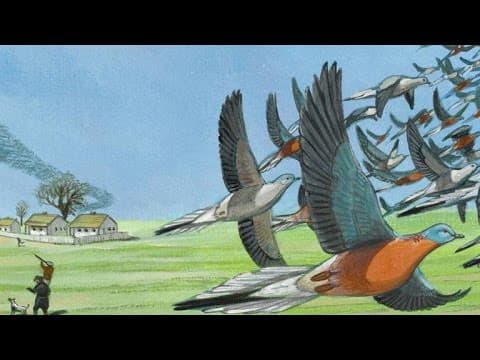 This Is Martha, the World's Last-Known Passenger Pigeon - YouTube