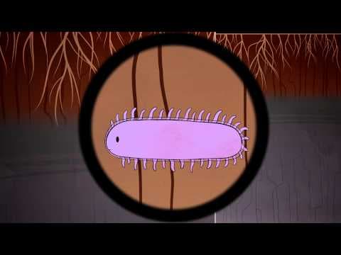 The Hidden Perils of Permafrost