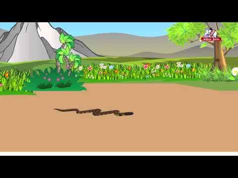 Pamu - telugu rhymes for kids