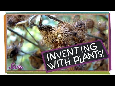 Inventing with Plants!