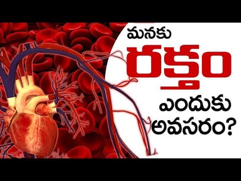 Why #BLOOD is Needed ? రక్తం ఎందుకు అవసరం? Blood Circulatory System in Telugu | Eduscope Science