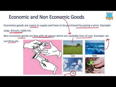 What is Economic and Non Economic Goods ? || Types of Goods అంటే ఏమిటి?