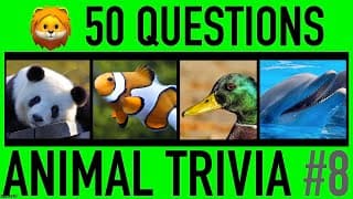 ANIMAL TRIVIA QUIZ | Animals General Knowledge Trivia Questions and Answers Challenge