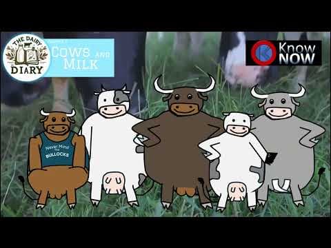 The Dairy Diary - Chapter 2: Cows and Milk Production