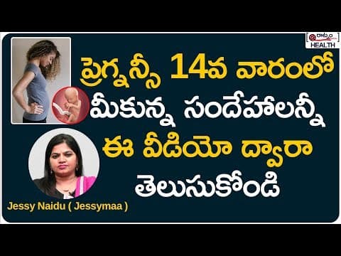 ప్రెగ్నన్సీ 14వ వారం లక్షణాలు pregnancy week - 14 fetal development in telugu - symptomsbaby growth