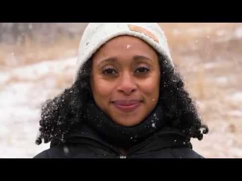 Visiting a bear’s winter den with bear scientist Rae Wynn-Grant