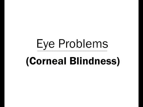 Eye Problems Corneal Blindness Animation Telugu Audio