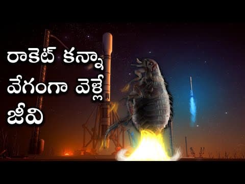 Physics facts,telugu alchemist, spacex booster, faster than rocket,dinosaurs,asteroids