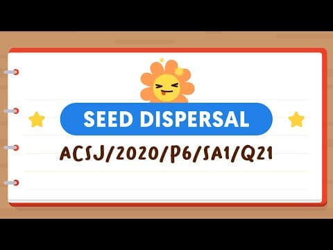 PSLE SCIENCE MADE SIMPLE EP108 | Seed Dispersal | How Are The Seeds Of These 3 Plants Dispersed?