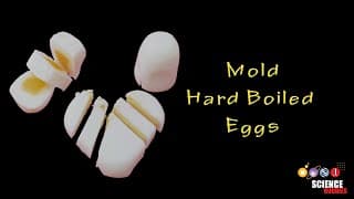 Mold Hard Boiled Eggs | STEM Activity