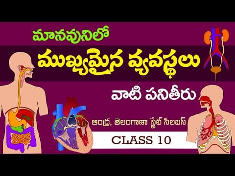 మానవ శరీరవ్యవస్థలు Important Human Systems in telugu  - 10th biology in telugu  -  class 10th science