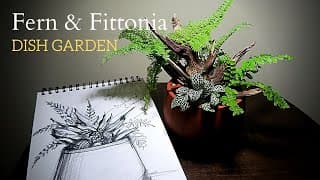 Simple and easy Dish Garden || From a sketch to a scaped dish || Dish Garden Design