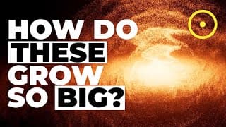 What Makes Supermassive Black Holes