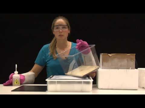 How to build a Cloud Chamber