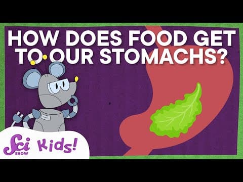 How Does Food Get to Our Stomachs and More Answers to Your Questions! | SciShow Kids - YouTube