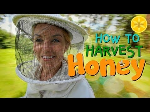 How to Harvest Honey - Beekeeping with Maddie 12