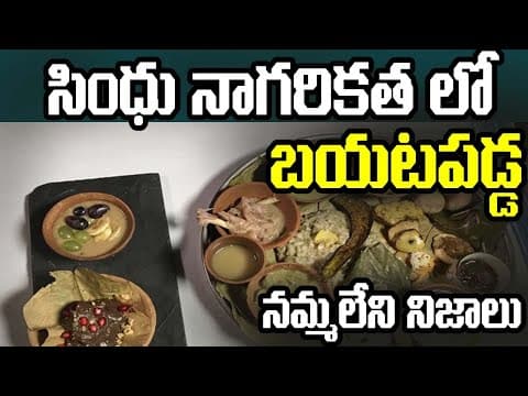 Are People Vegetarians in Indus Valley Civilization..? | సింధు లోయ నాగరికతలో ప్రజలు శాఖాహారులా కాదా?