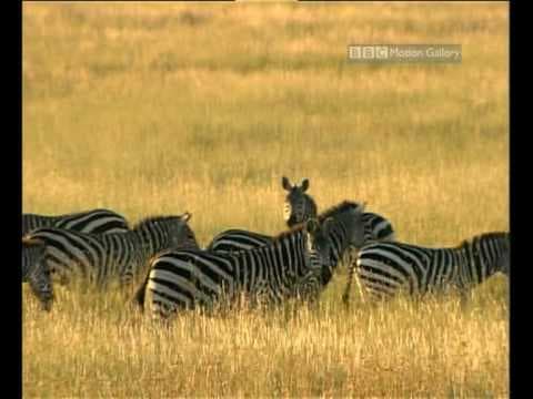 Part 5 Mountains  Valleys