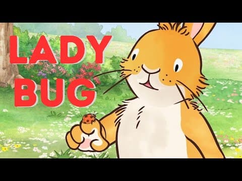 Lady Bug - a new friend.