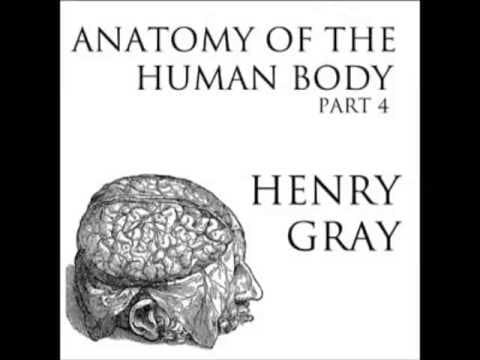 Anatomy of the human body full audiobook - part 27 of 39