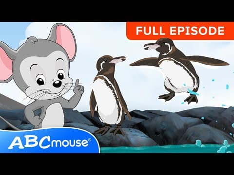 Search & Explore the Galapagos Islands! A Fun ABCmouse Adventure for Kids (Full Episode)