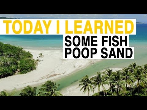 Til: these white sand beaches aren’t what you think-today i learnedi full documentary