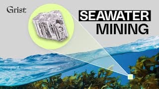 In the race to find critical minerals, there is a gold mine literally at our shoreline