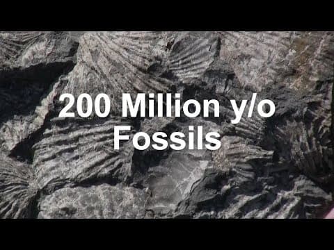 First Time Seen in 200 Million Years