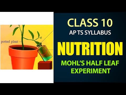 Nutrition   | Mohl's Half Leaf Experiment