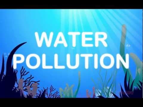 Water Pollution - What Is It & How Can You Help? Science for Kids