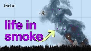 Its alive| The groundbreaking research on the microbes in wildfire smoke