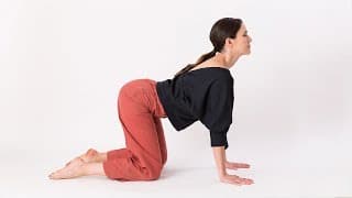 Cat-Cow Pose|Marjariasana-Bitilisana