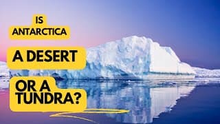 Is Antarctica a Desert, a Tundra, or Both