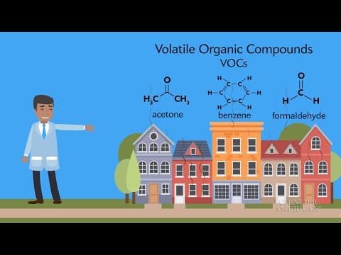 Indoor Plants Can Clean Your Air