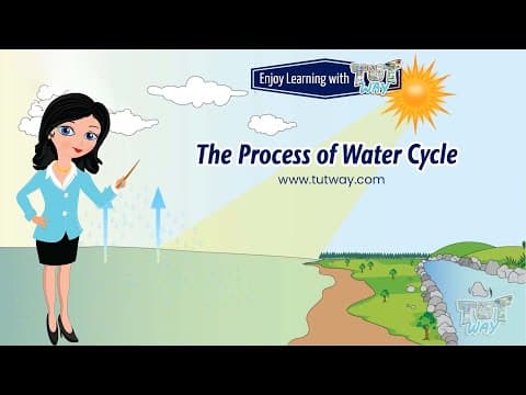 Water Cycle - The Process of Water Cycle - Parts of Water Cycle - Rain