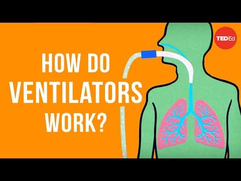 How do ventilators work? - Alex Gendler - YouTube