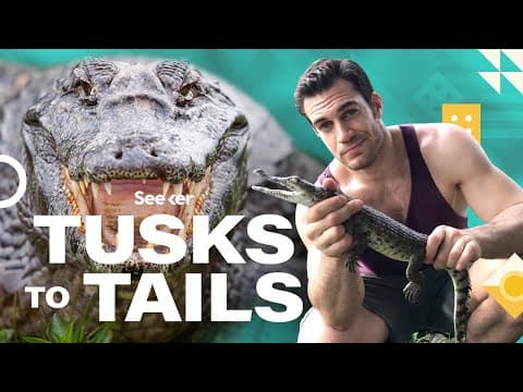 This Is What Makes Crocodile Jaws So Deadly