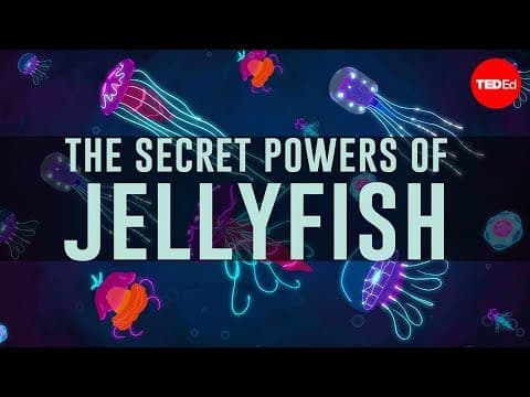 Jellyfish predate dinosaurs. How have they survived so long? - David Gruber - YouTube
