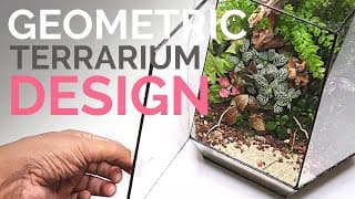 Geometric terrarium design