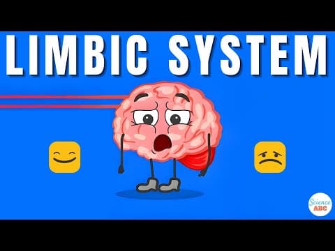 Emotions and the Brain- What is the limbic system