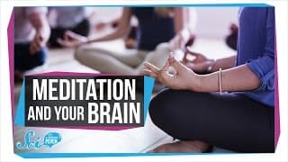 Does Meditation Really Affect Your Brain