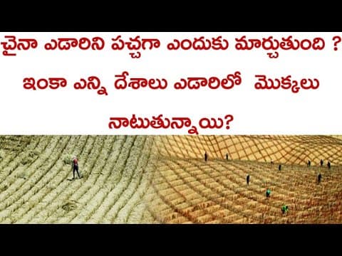 Desert greening in China