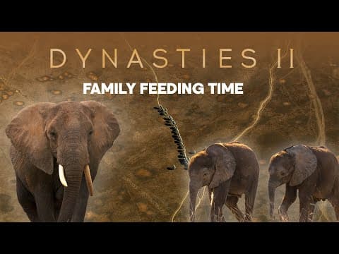 The song of the Hermit Thrush