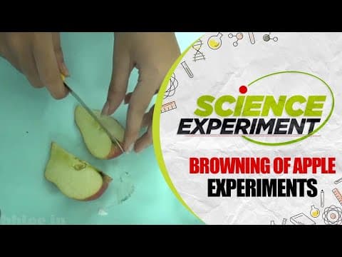 Science Experiment - 39 | Browning of Apple Experiment | Chemistry Experiment