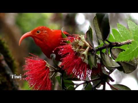 Filming this changed how I see wasps