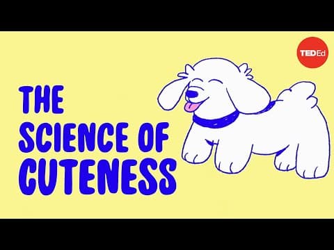 Why do you want to squeeze cute things? - Joshua Paul Dale - YouTube