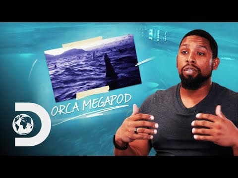 Mother and baby red-tailed sportive lemurs