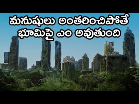 What If Humans Suddenly Disappeared From Earth