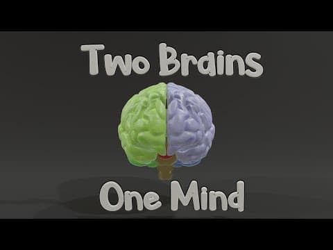Why Do We Have Two Brains? - YouTube
